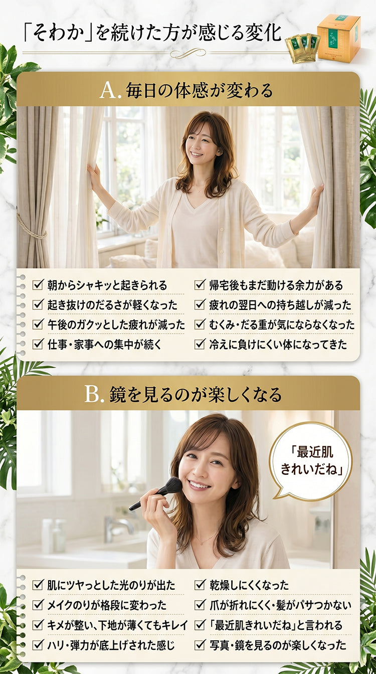 そわか　3ヶ月集中セット（今だけ90袋）